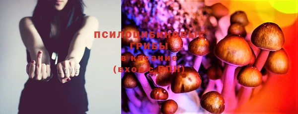 ПСИЛОЦИБИНОВЫЕ ГРИБЫ Абаза