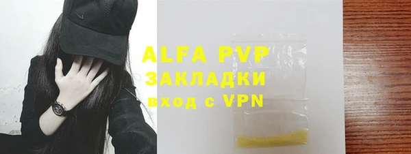СК Алексин