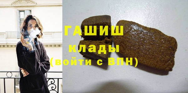 СК Алексин