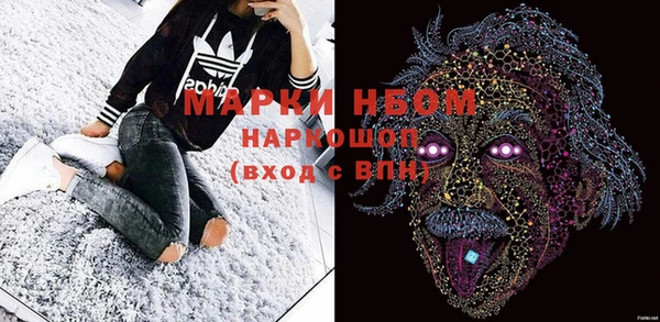 ПСИЛОЦИБИНОВЫЕ ГРИБЫ Абаза