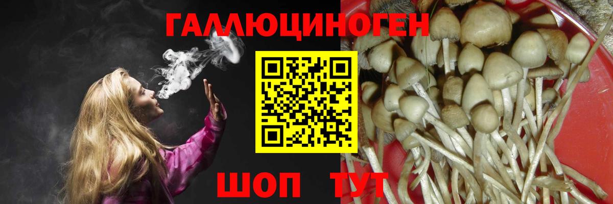 Энгельс  Галлюциногенные грибы GOLDEN TEACHER  что такое наркотик  Вход с VPN  Псилоцибиновые грибы Magic Shrooms 
