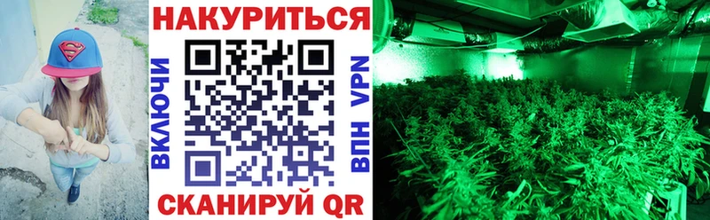 Бошки Шишки конопля  Энгельс 
